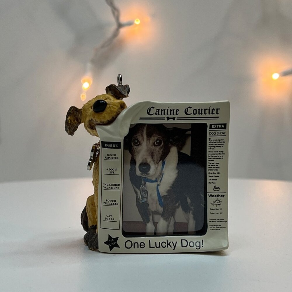 Special Dog Hallmark Keepsake Christmas Tree Ornament from 2004 - Picture 4 of 8